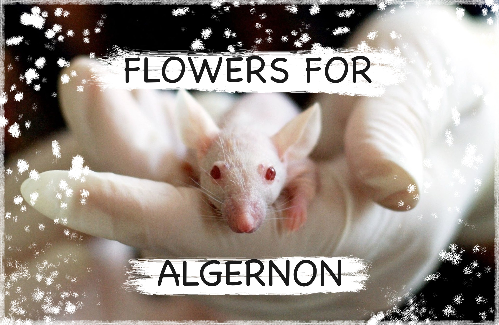 Flowers for Algernon on Apple Books